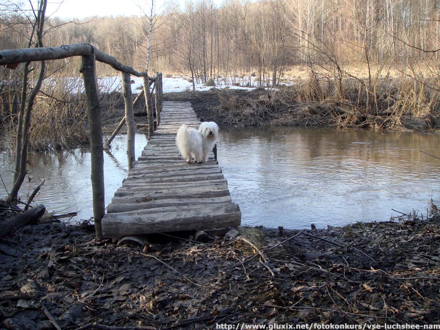 Автор: Алексей.