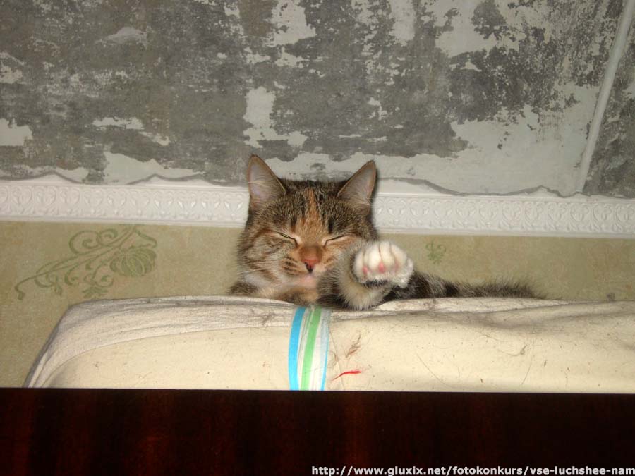 Автор: Марина.