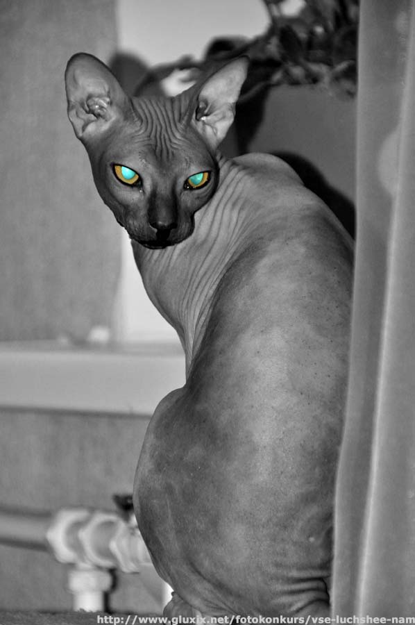 Автор: Оксанчик.