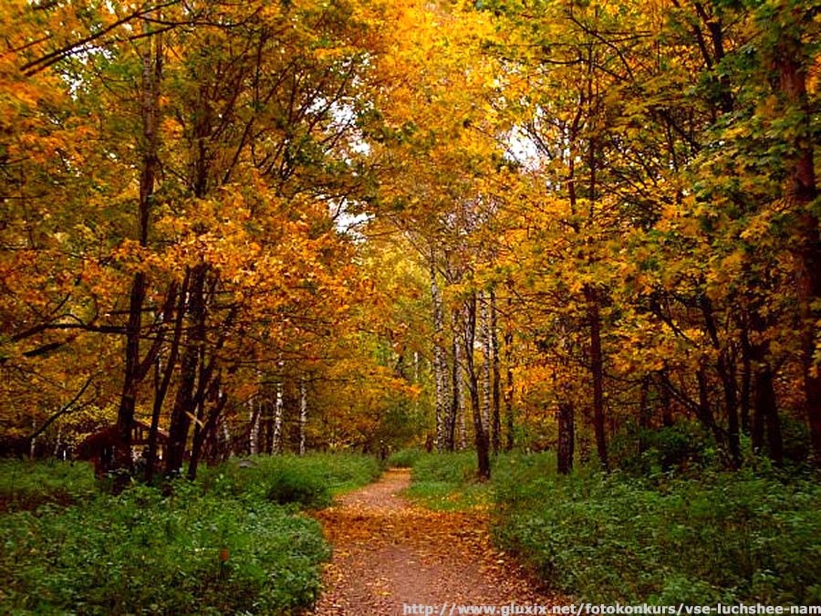 Автор: Ольга.