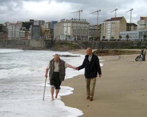 Разговор без слов. Профессор Суворов