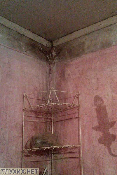 Дом глухой старушки обещают снести 13 лет спустя после признания его аварийности. Фото Татьяны Нужиной